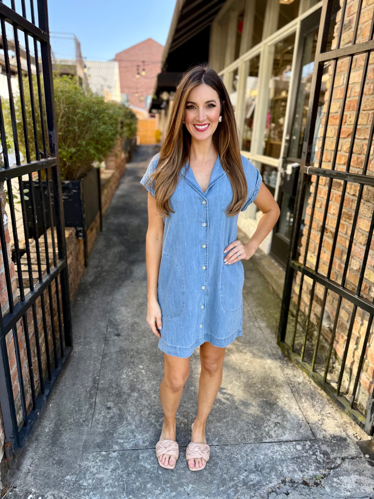 Z Supply Napa Denim Mini Dress