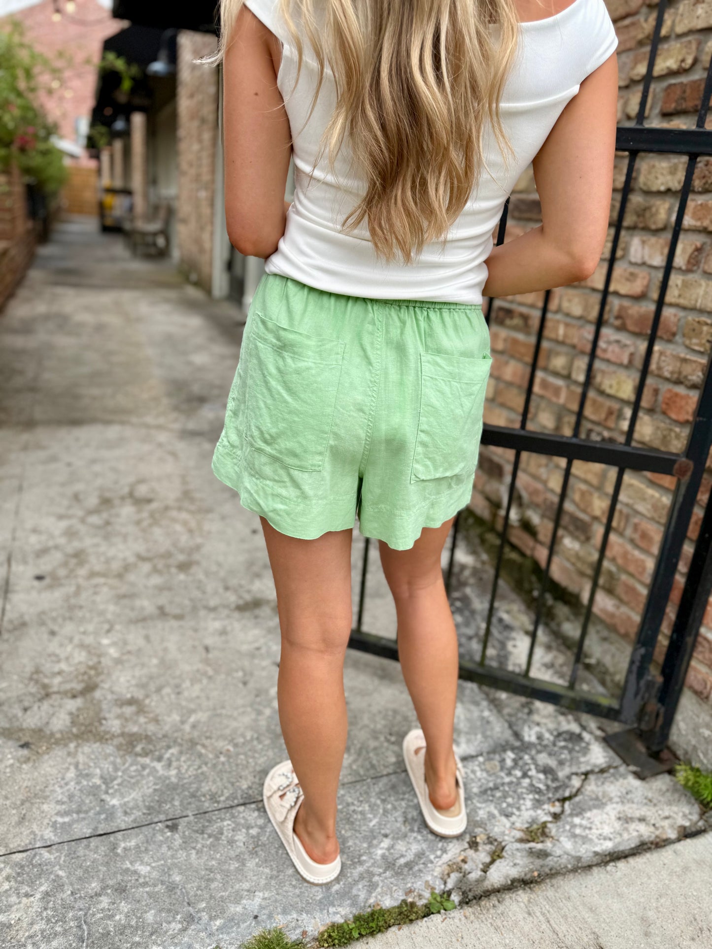 Z Supply Expedition Short- Sprout