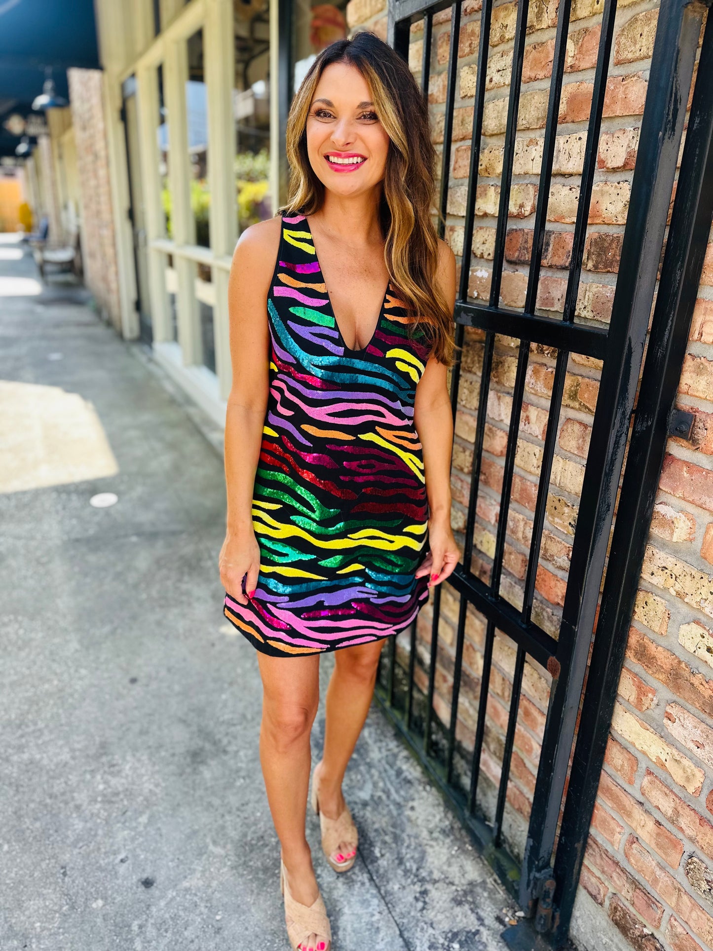 Rainbow Tiger Denim V Neck Dress