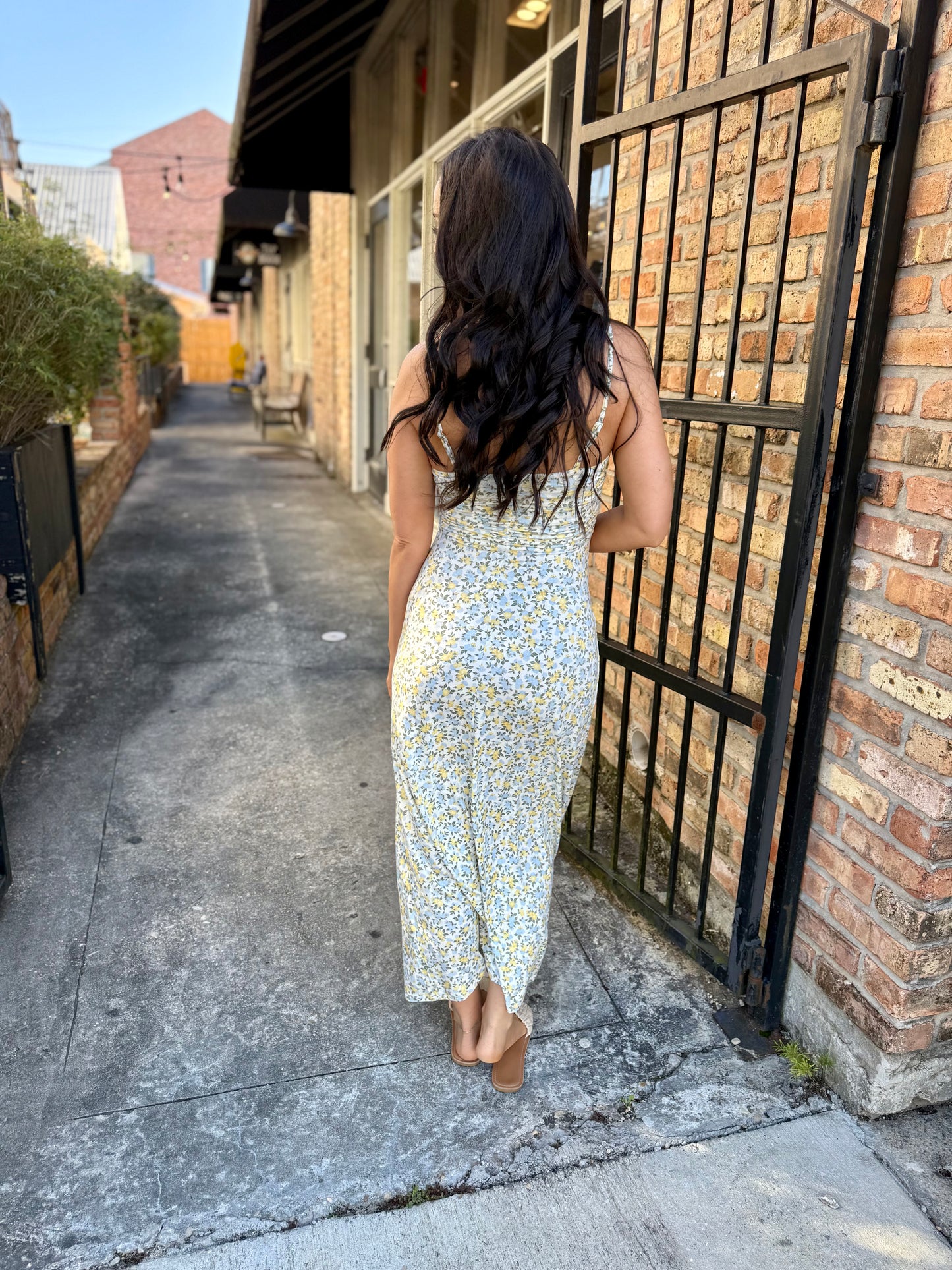 Z Supply Faya Idra Ditsy Maxi Dress