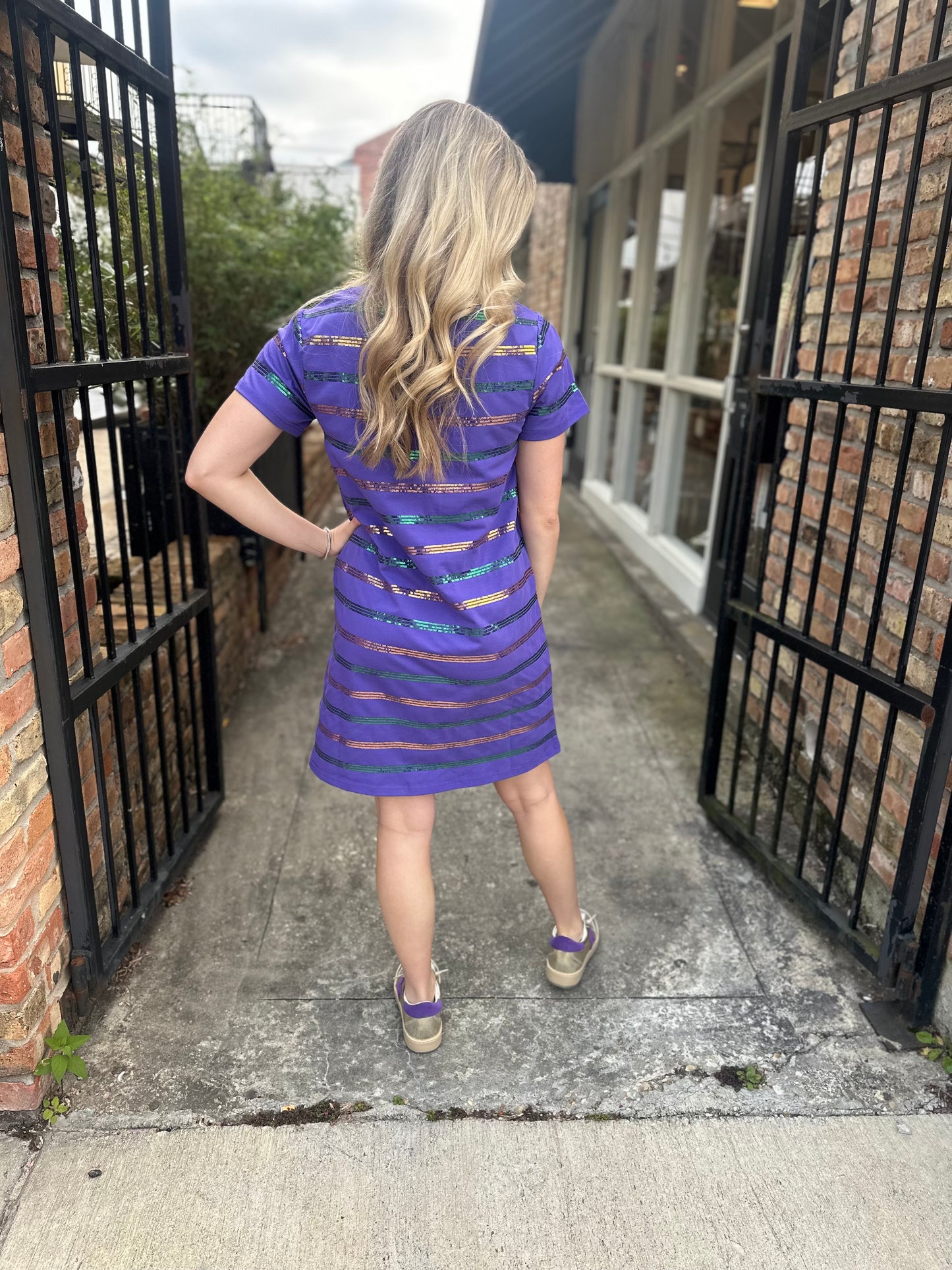 MG Sequin Stripe Dress- Purple
