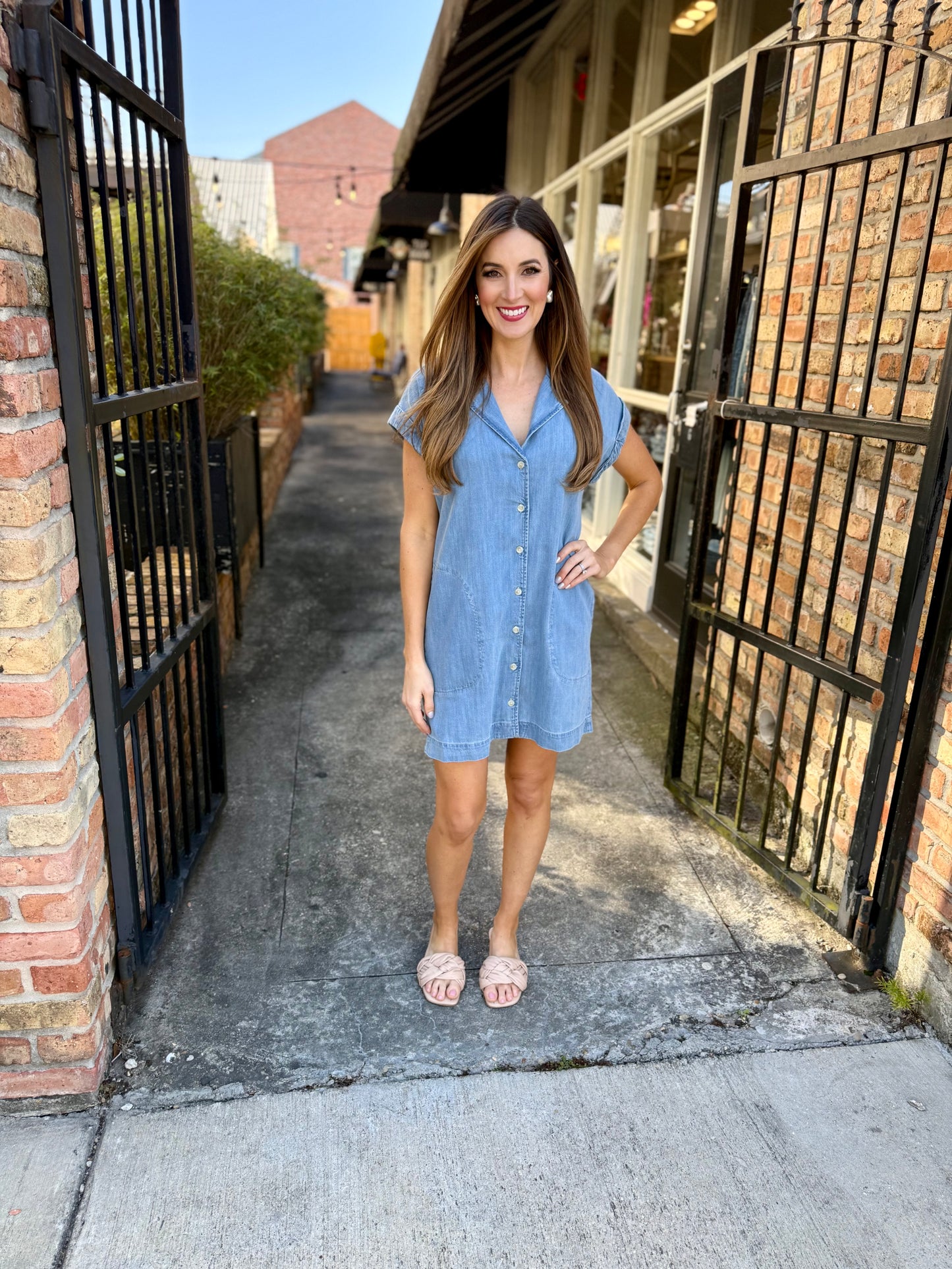 Z Supply Napa Denim Mini Dress