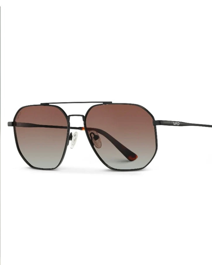 Sunglasses- Emmett Black Carbon/Brown