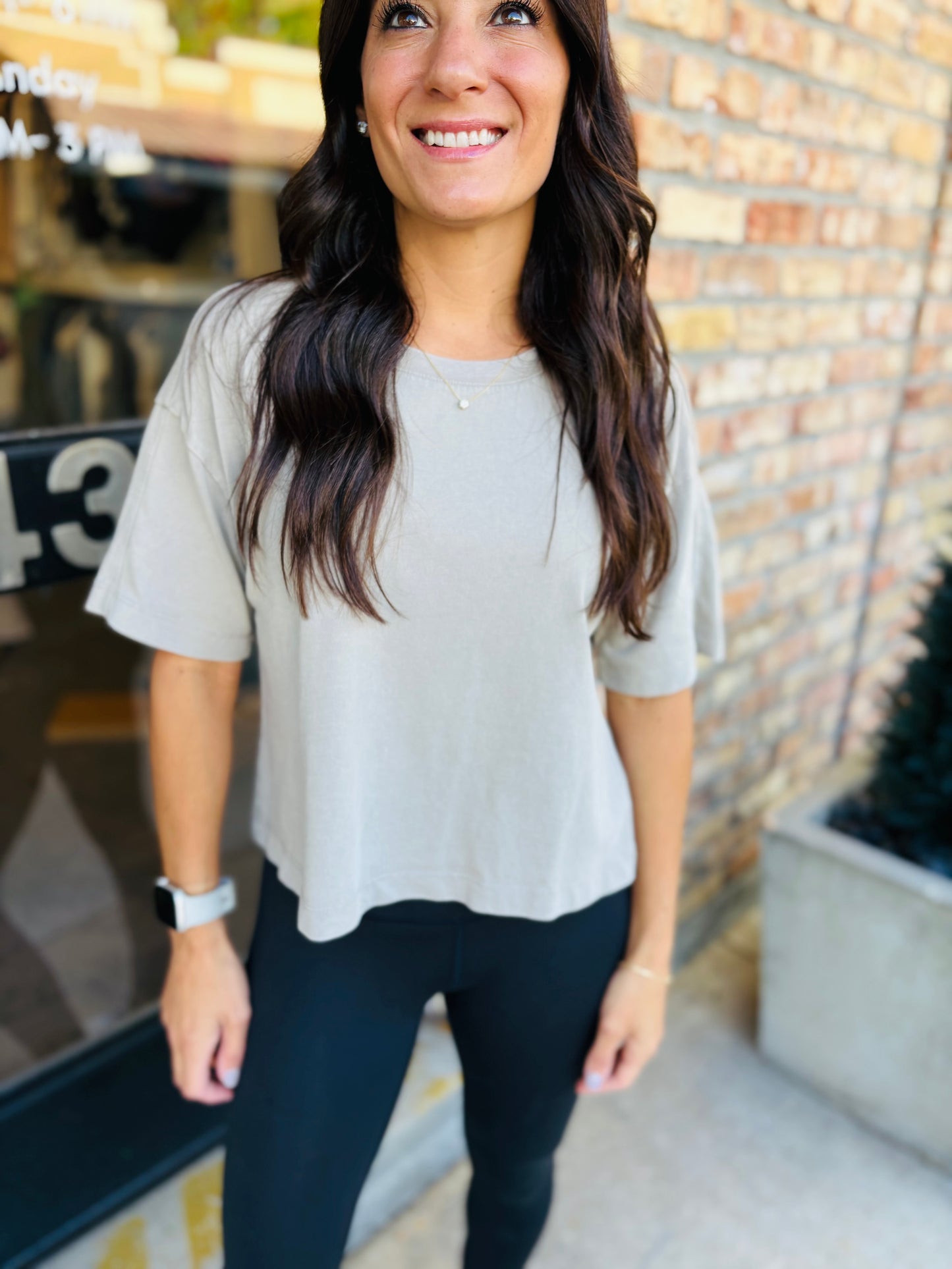 Z Supply On the Go Tee- Retreat Taupe