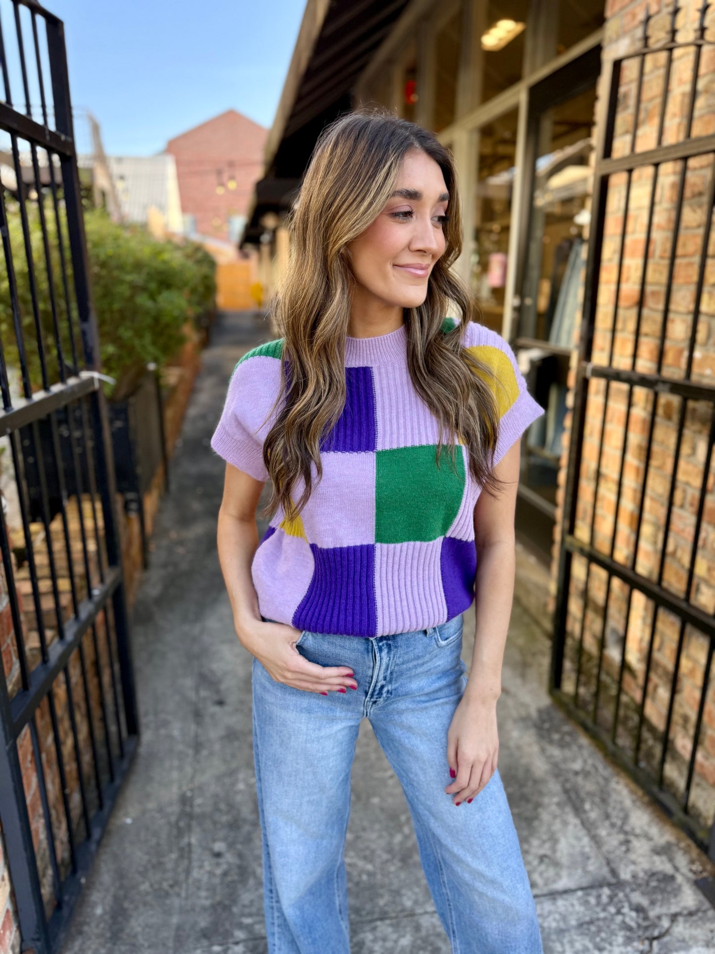 Cleopatra Checkered Sweater Top- Lavender