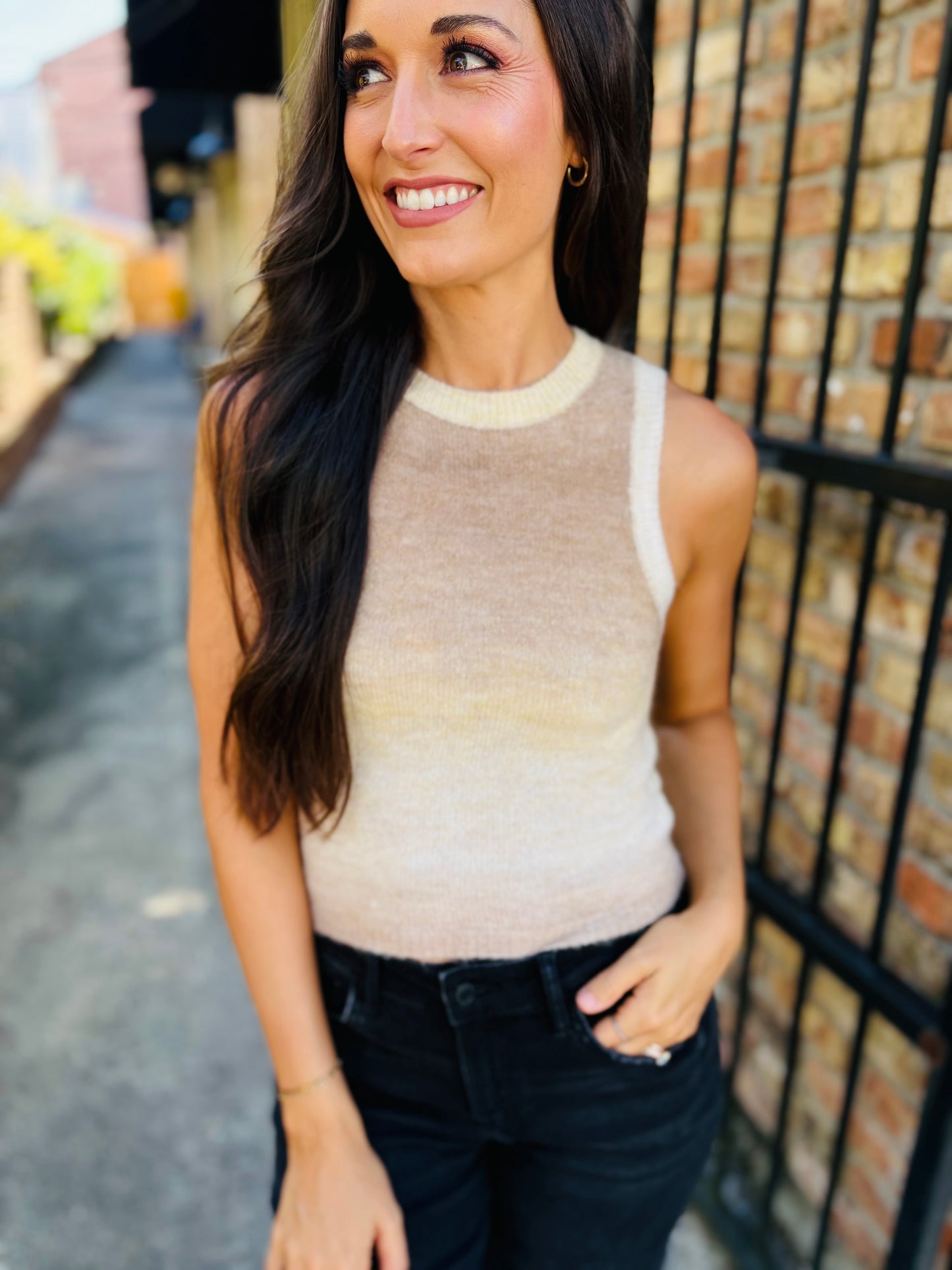 Palmer Ombre Sweater Tank- Taupe Multi