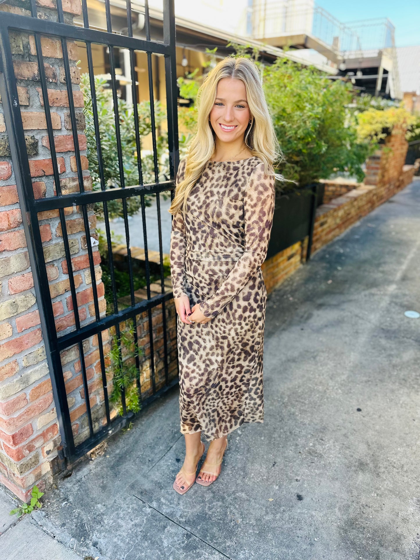 Leopard Mesh Dress