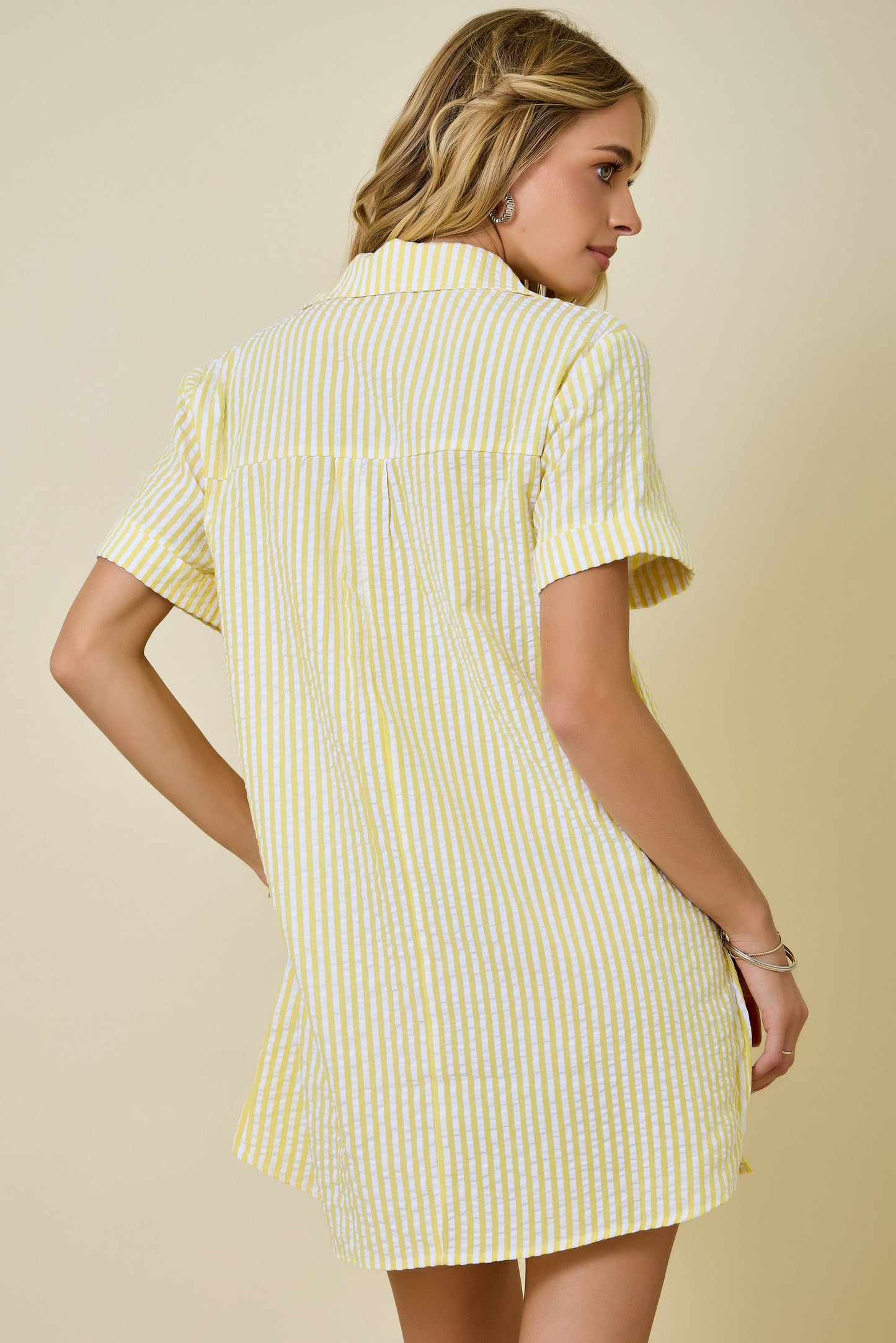 Day Striped Shirt Dress- Lemon/White