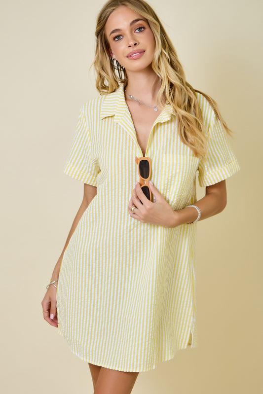 Day Striped Shirt Dress- Lemon/White