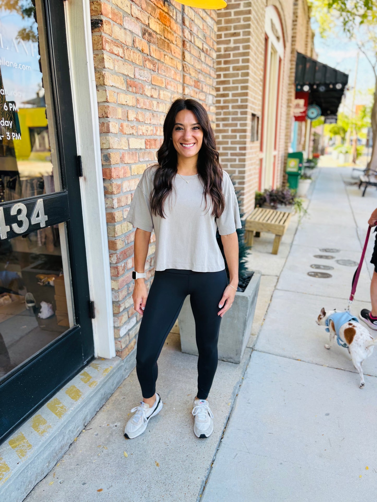 Z Supply On the Go Tee- Retreat Taupe