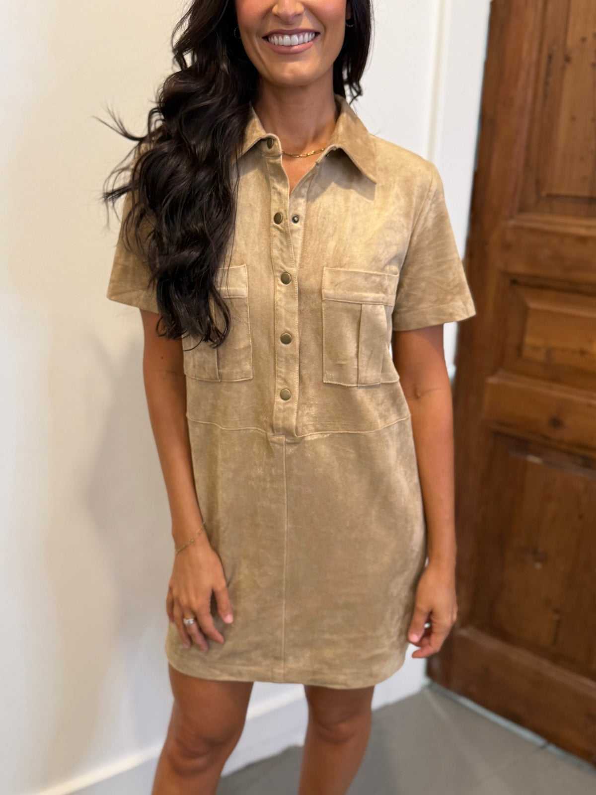 Z Supply Leone Suede Mini Dress