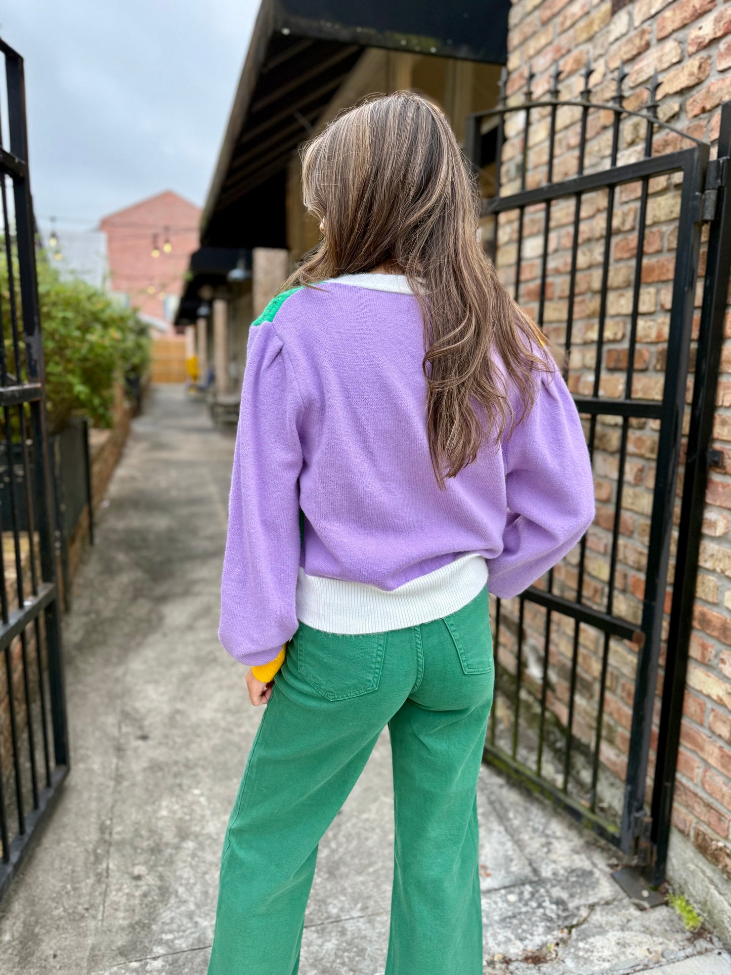 Thoth MG Colorblock Cardigan- Purple