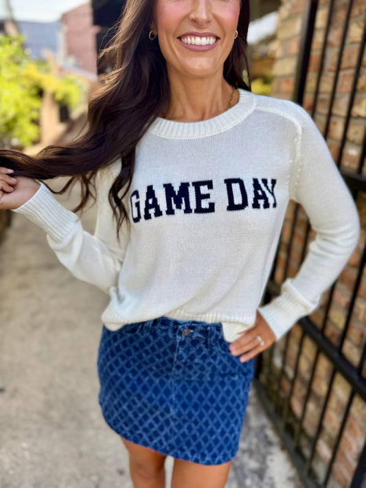 Z Supply Varsity Stand In Sweater