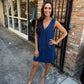 Z Supply Solace Denim Mini Dress