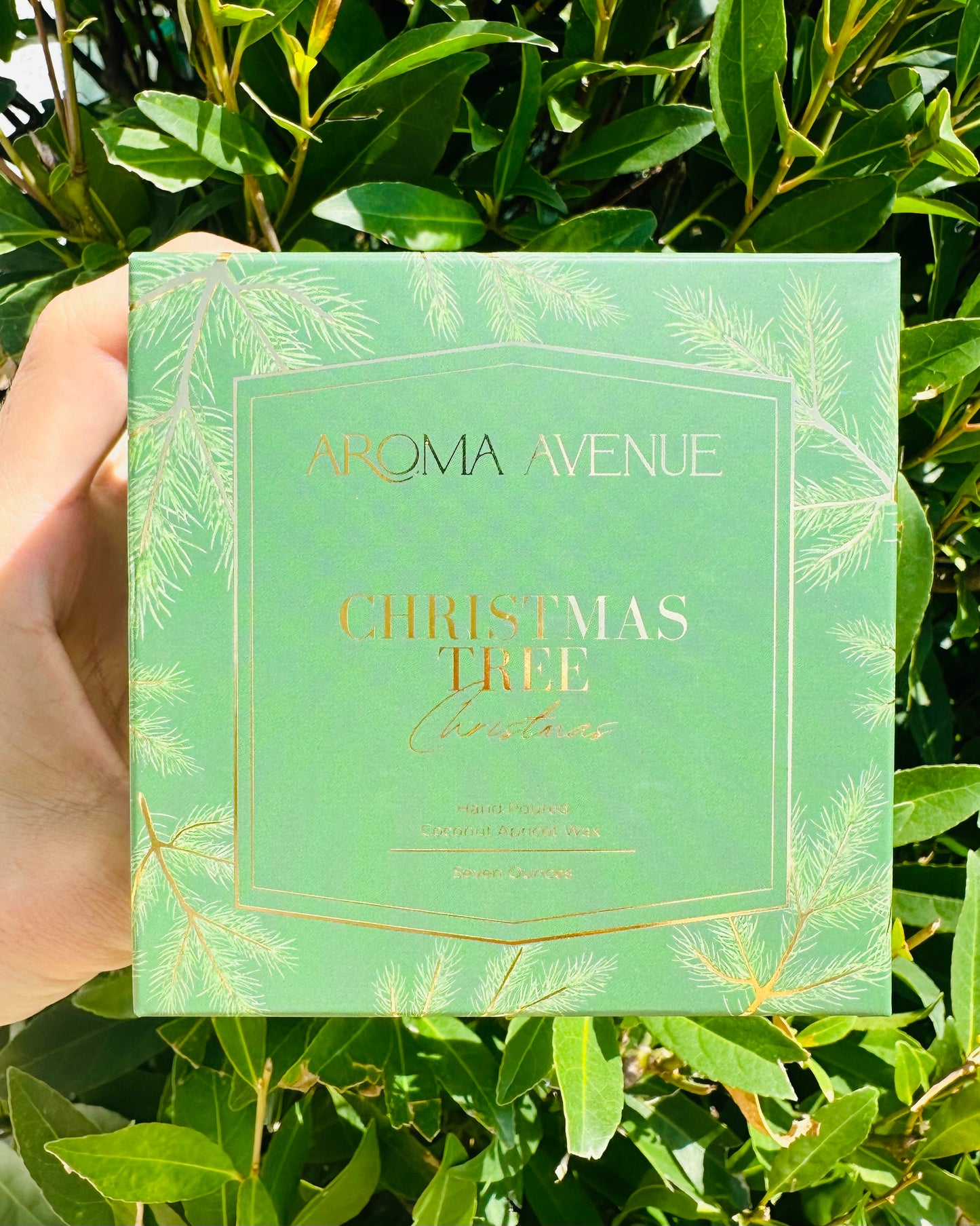 Aroma Avenue Candle- Christmas Tree