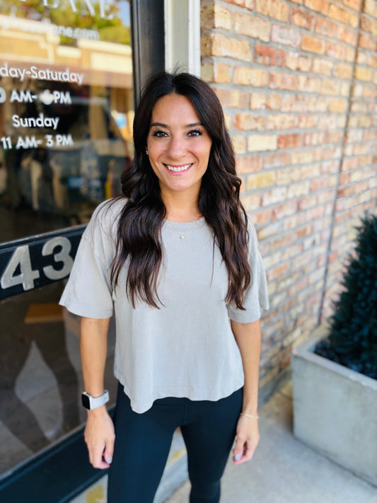 Z Supply On the Go Tee- Retreat Taupe