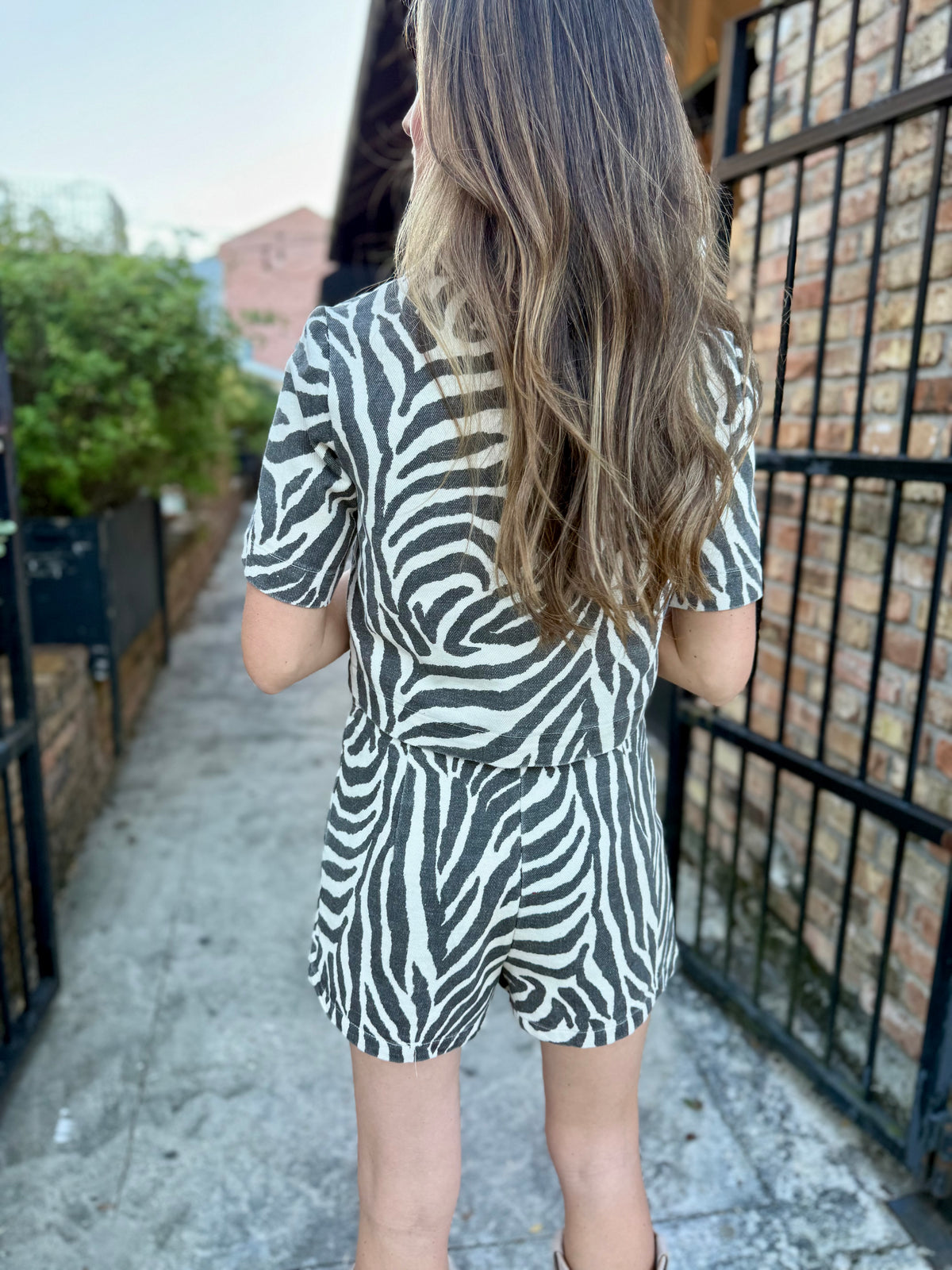 Zebra Collared Top
