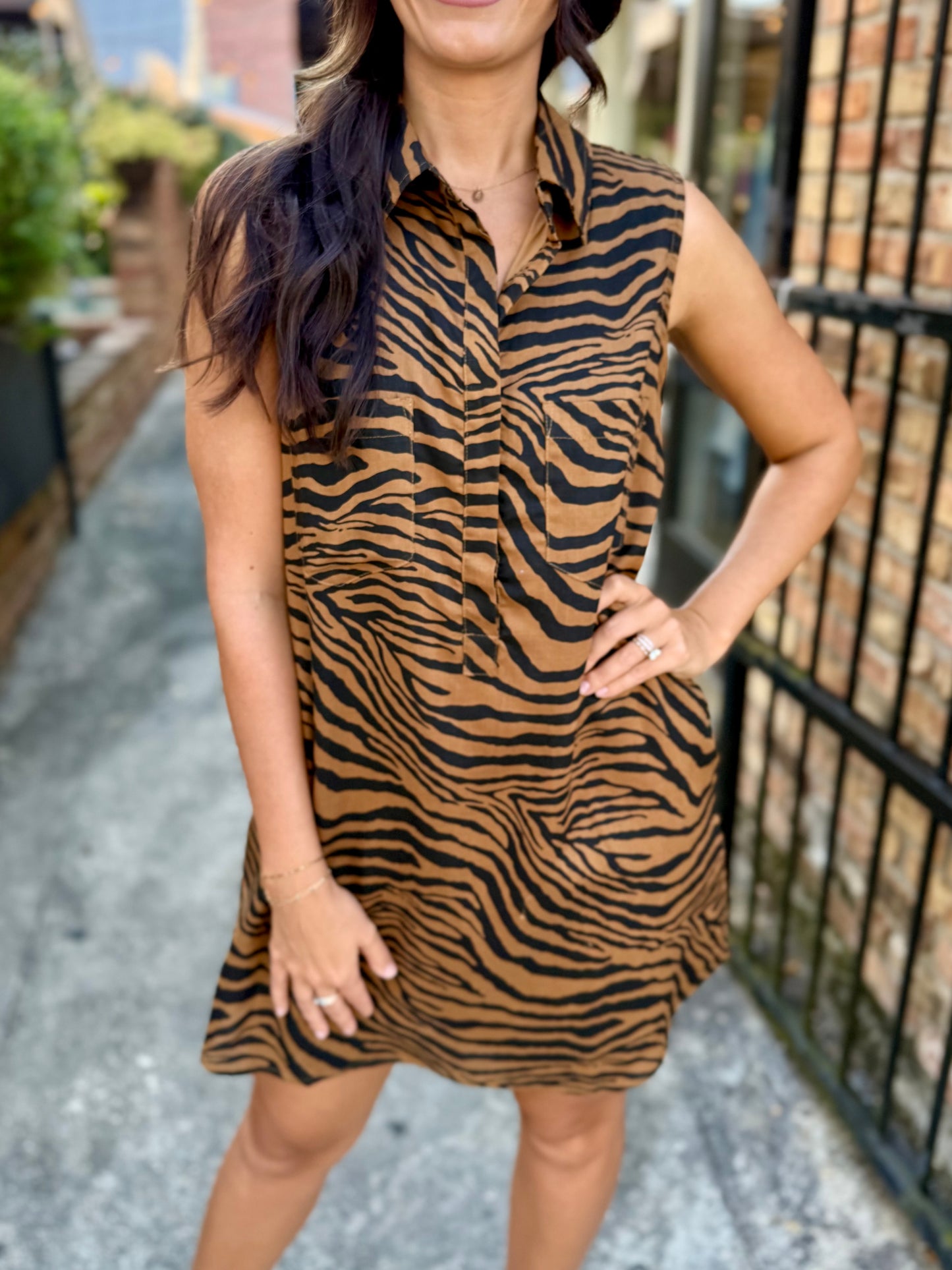 Tiger Print Button Down Shirt Dress