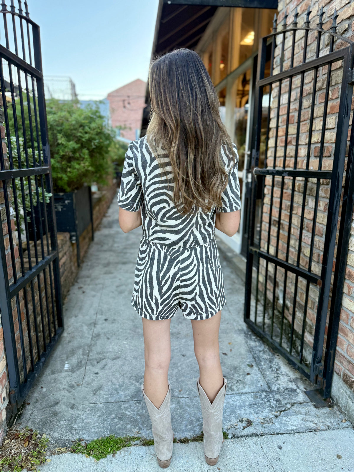 Zebra Collared Top