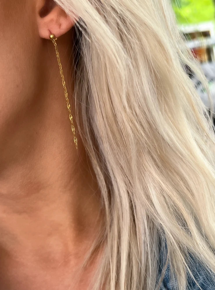Danity Chain Earrings