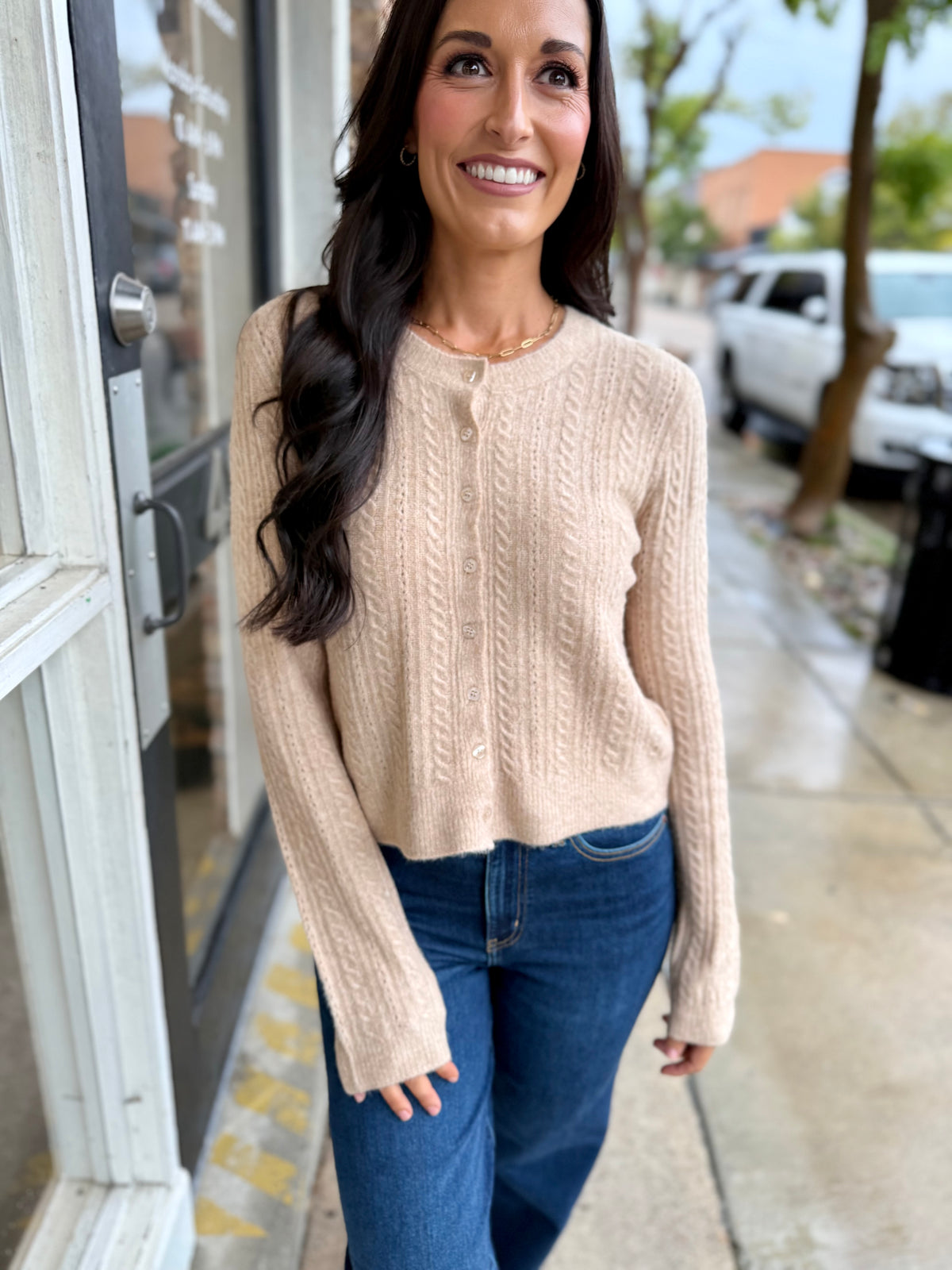 Z Supply Medina Pointelle Cardigan- Macaroon