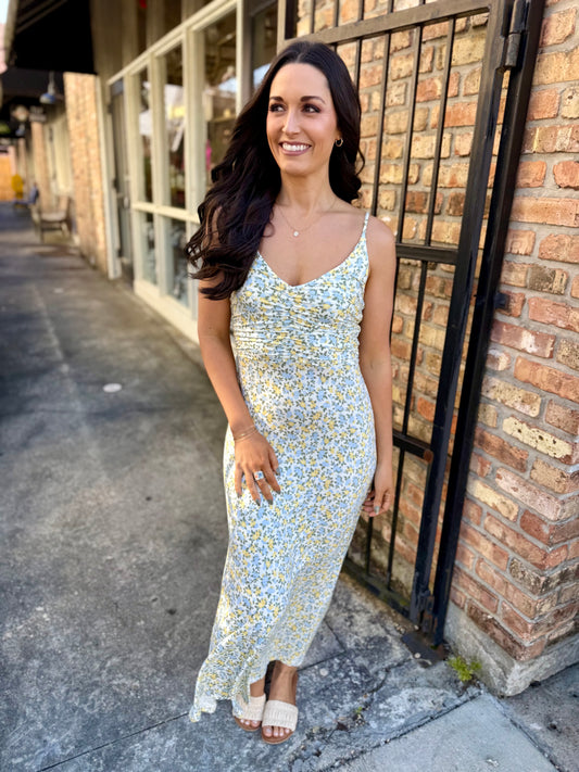 Z Supply Faya Idra Ditsy Maxi Dress