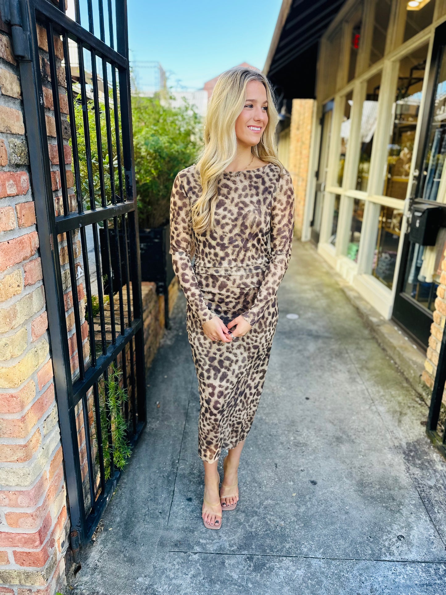 Leopard Mesh Dress