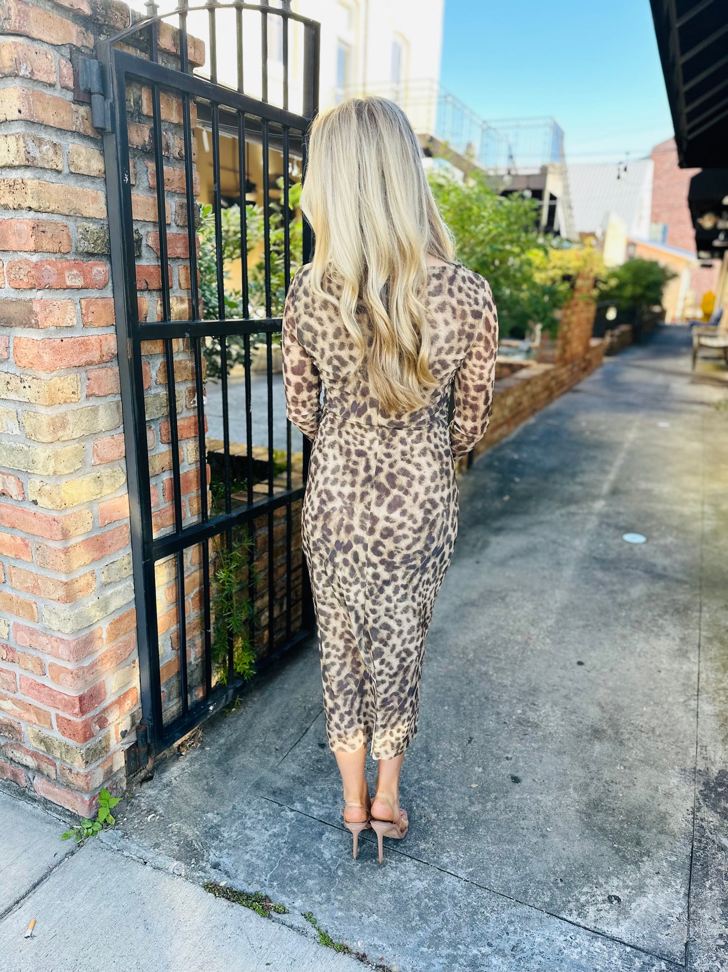 Leopard Mesh Dress