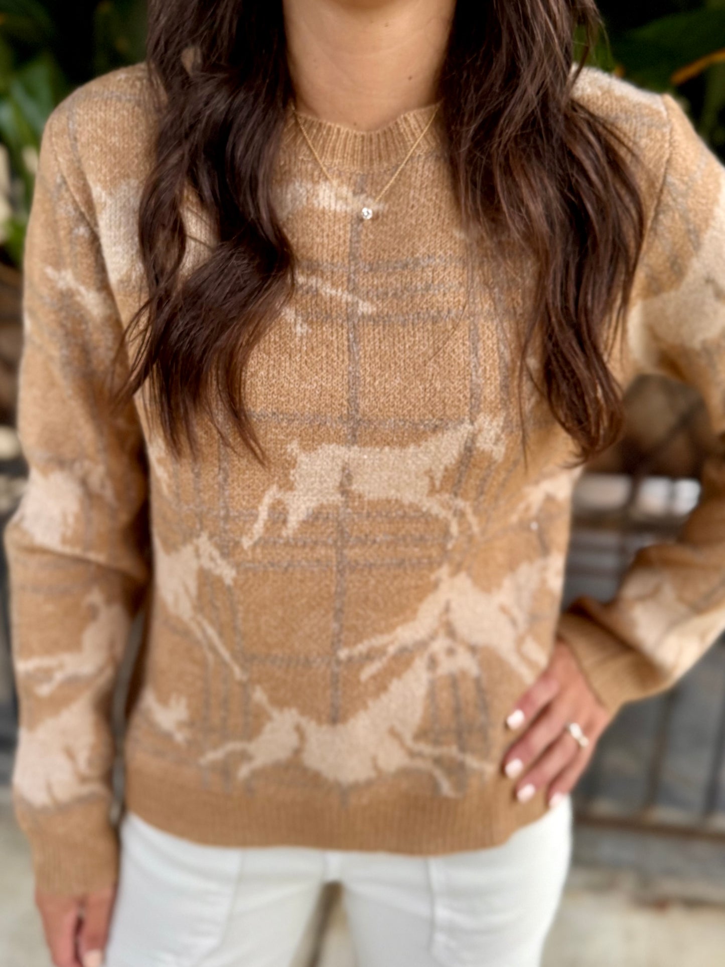 Cerise Horse Sweater- Taupe