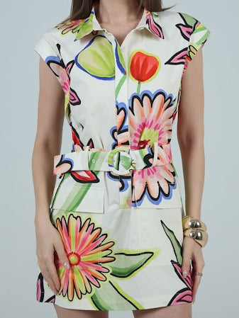 Arianna Collared Mini Dress