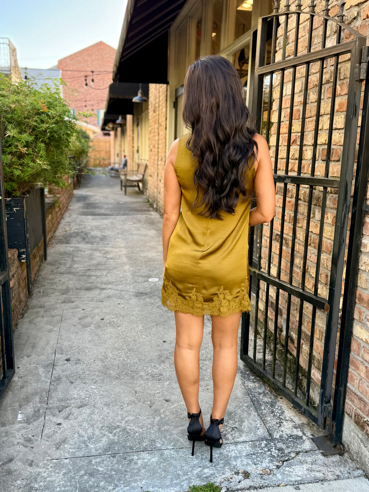 Z Supply Meadow Muse Dress- Golden Sage