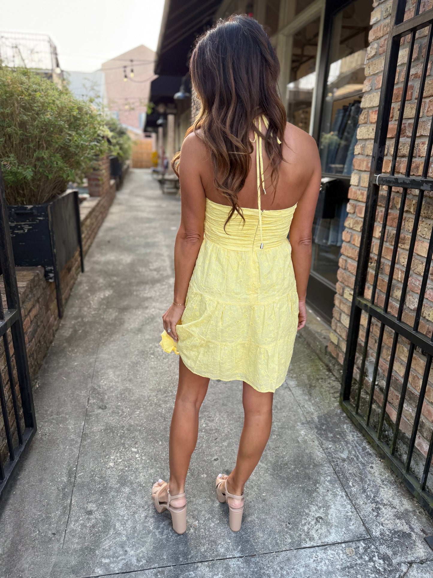 Hara Eyelet Halter Mini Dress- Lemon