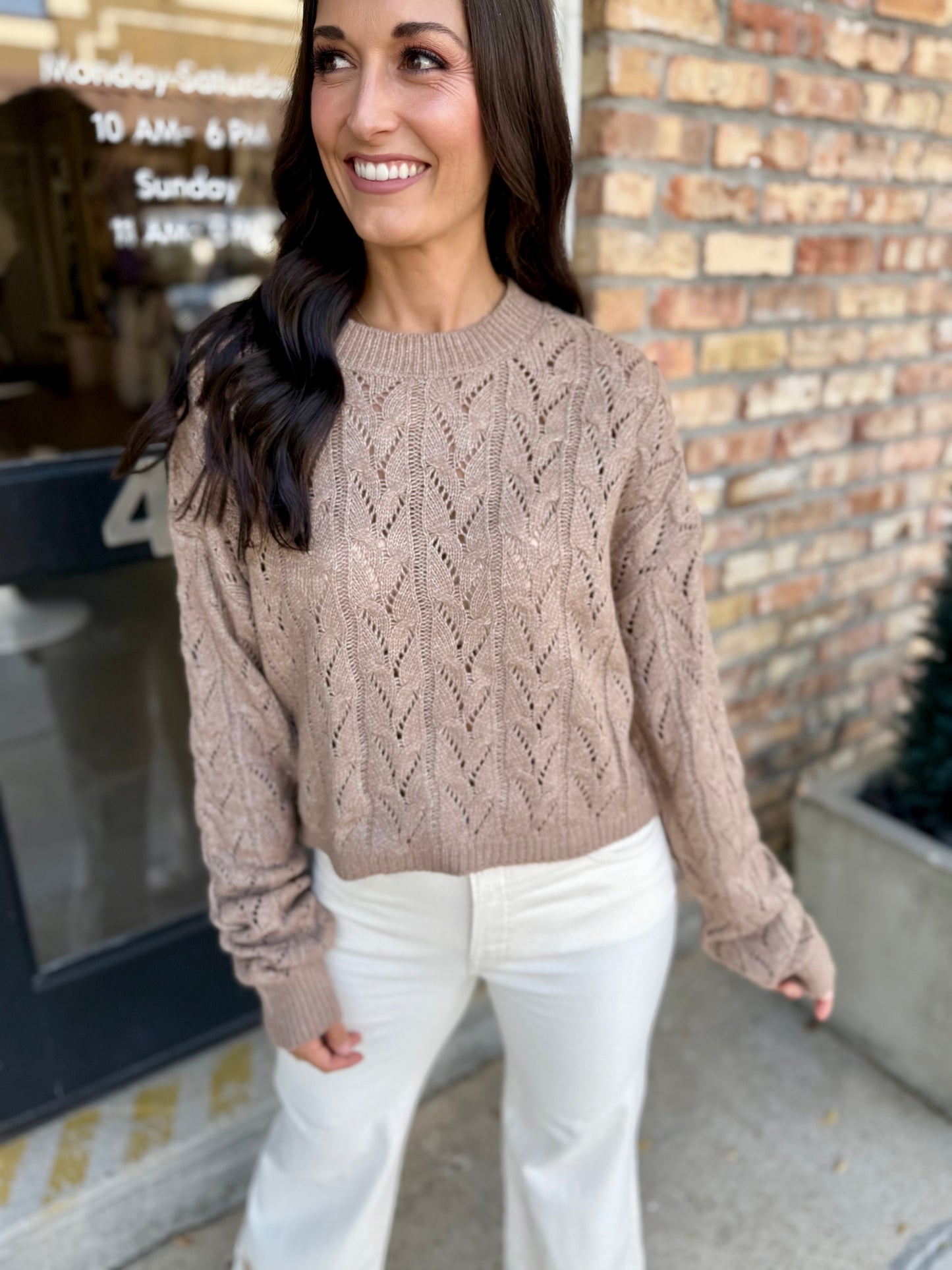 Wisteria Cable Sweater- Taupe