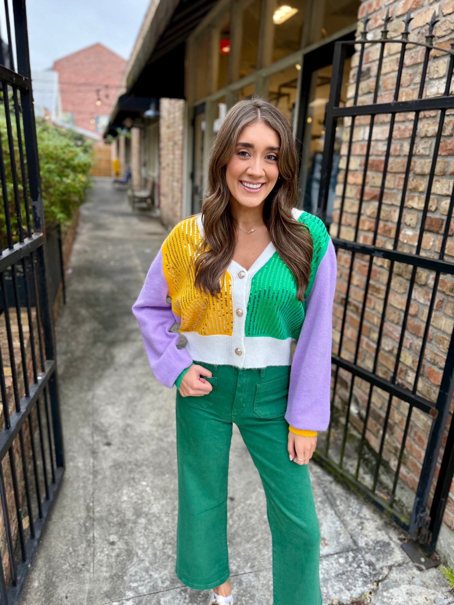 Thoth MG Colorblock Cardigan- Purple