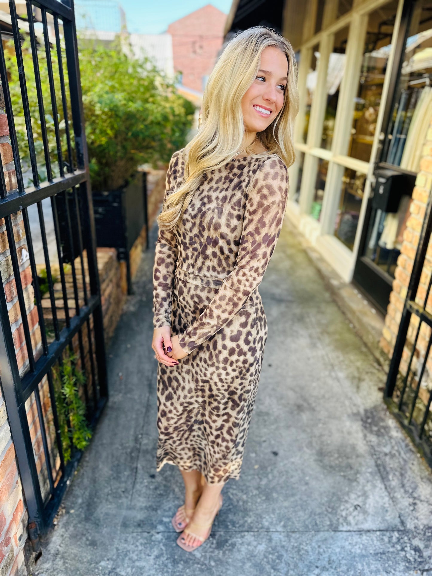 Leopard Mesh Dress