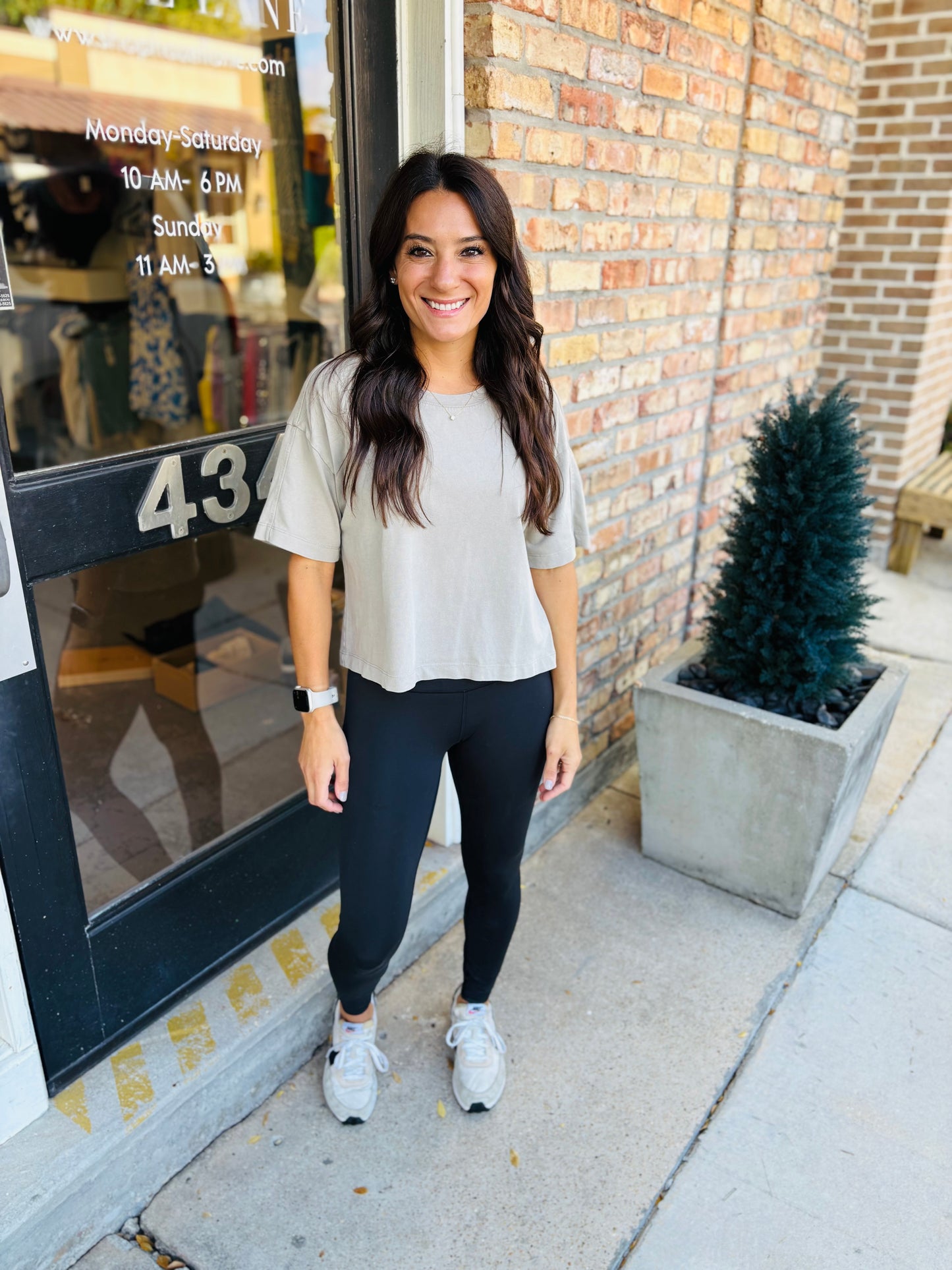 Z Supply On the Go Tee- Retreat Taupe