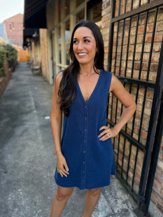 Z Supply Solace Denim Mini Dress