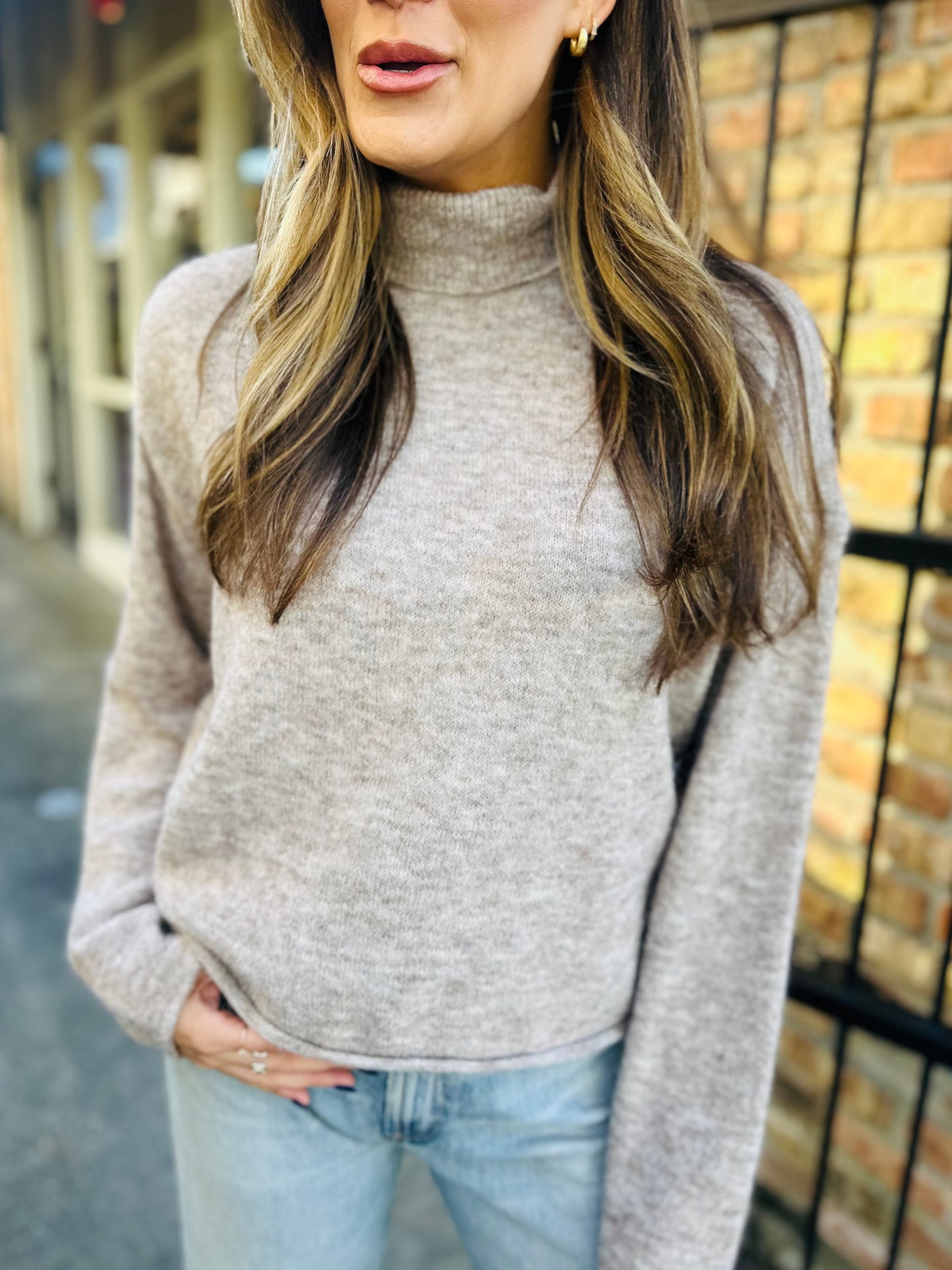 Bart Cozy Turtleneck Sweater- Taupe