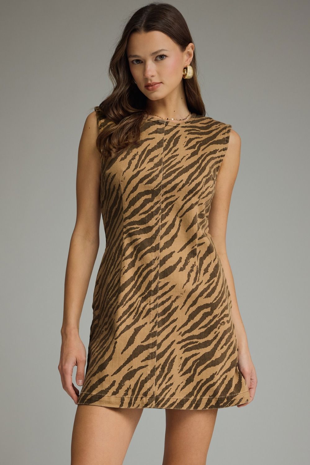 Feral Zebra Dress- Brown