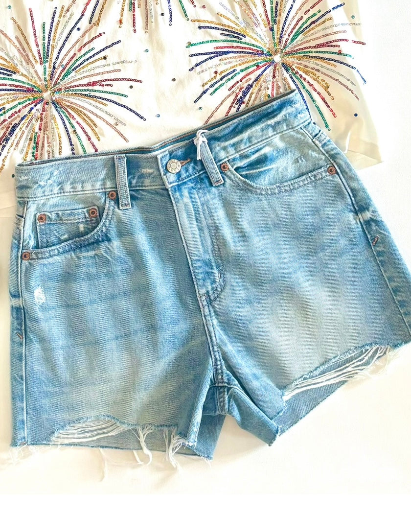 Troublemaker High Rise Shorts