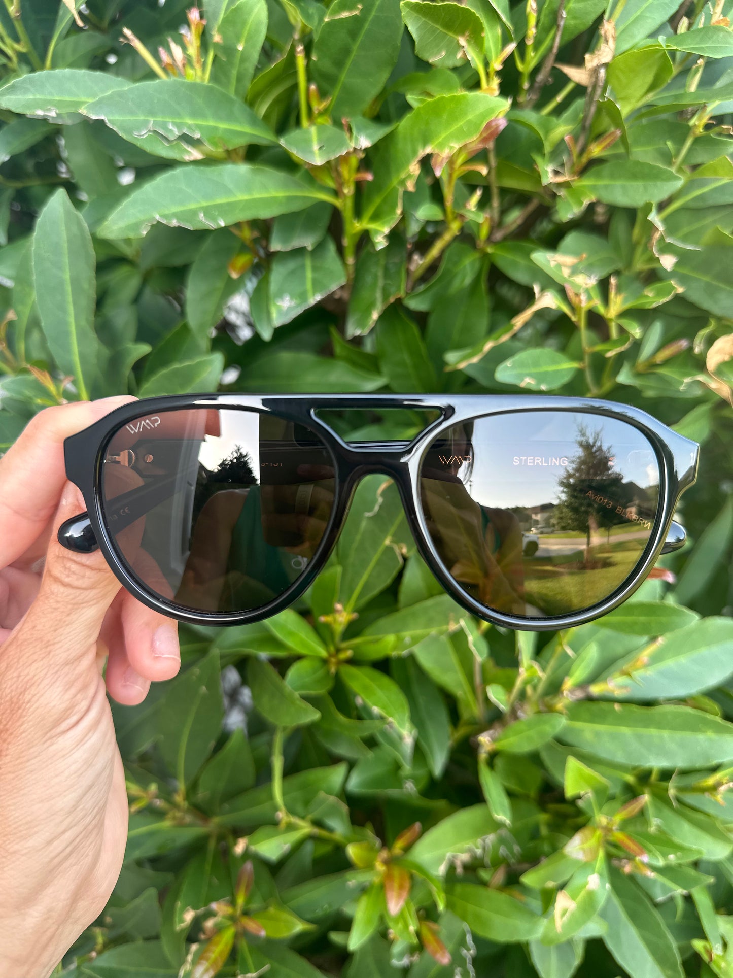 Sunglasses- Sterling Glossy Black/Brown