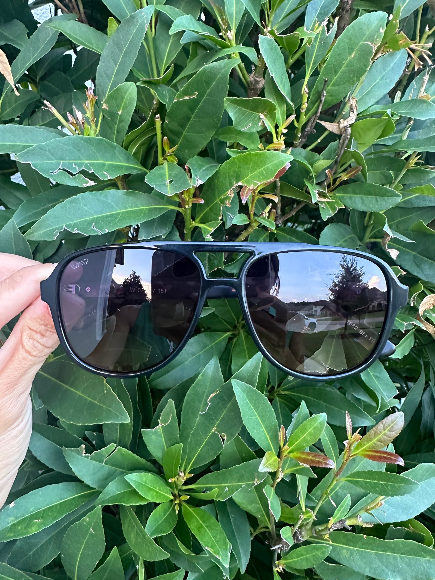 Sunglasses- Indie Blk Cream Tortoise/Sunset Lens