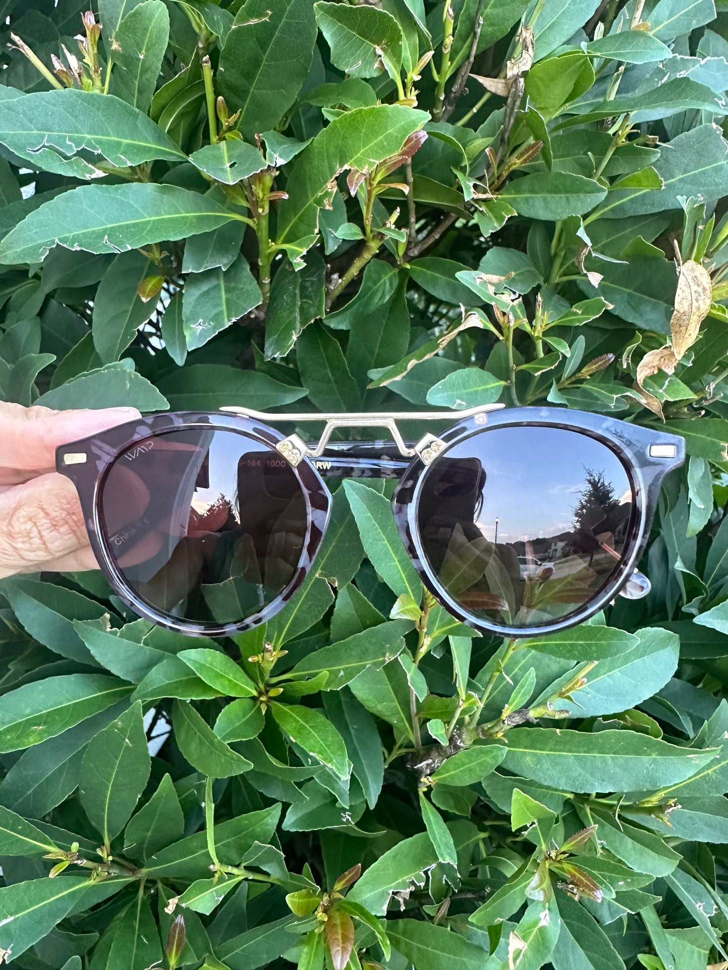 Sunglasses- Skylar Oatmeal/Brown