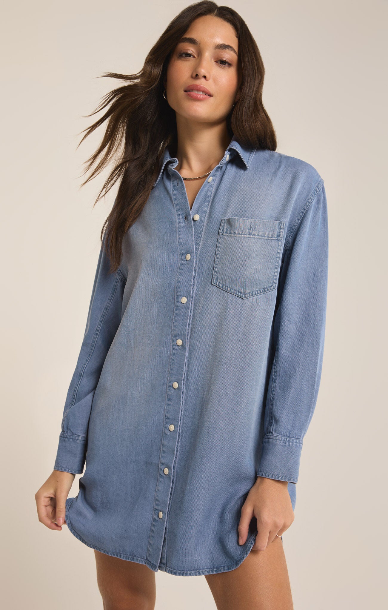 Z Supply Dover Denim Dress- Blue