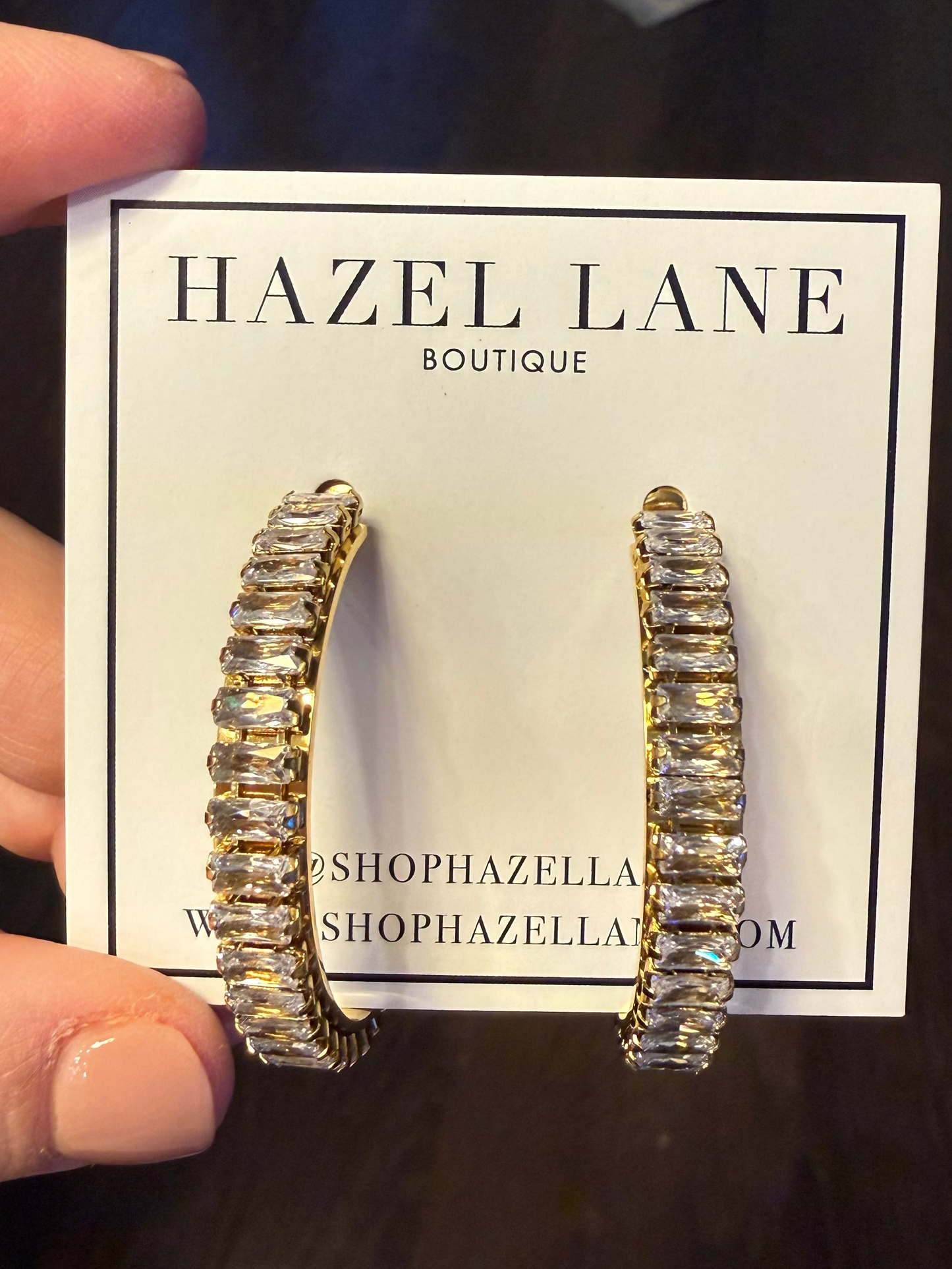 Chandler Stone Hoop Earrings