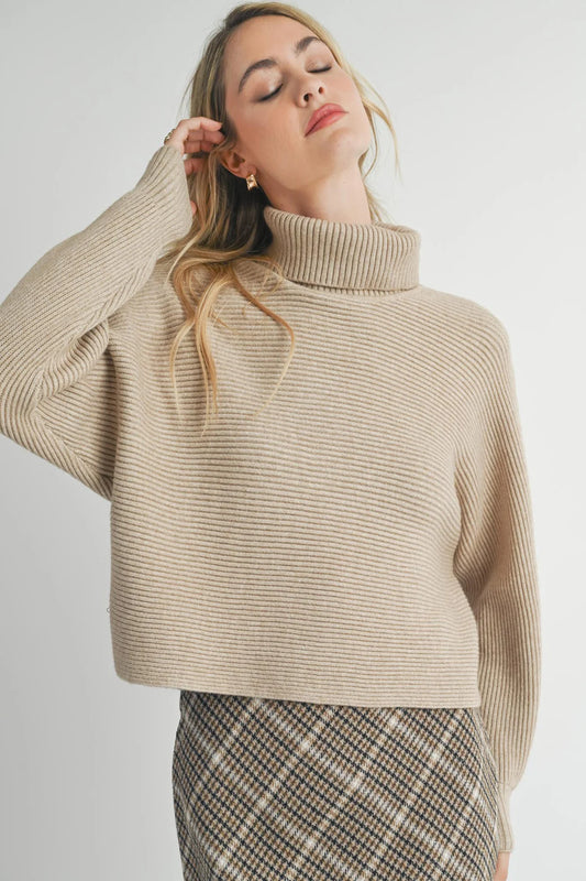 Anya Turtleneck Dolman Sweater