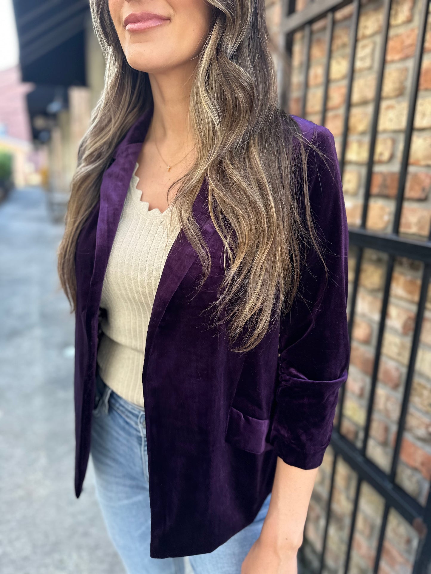 Ashley Velvet Blazer- Plum Purple