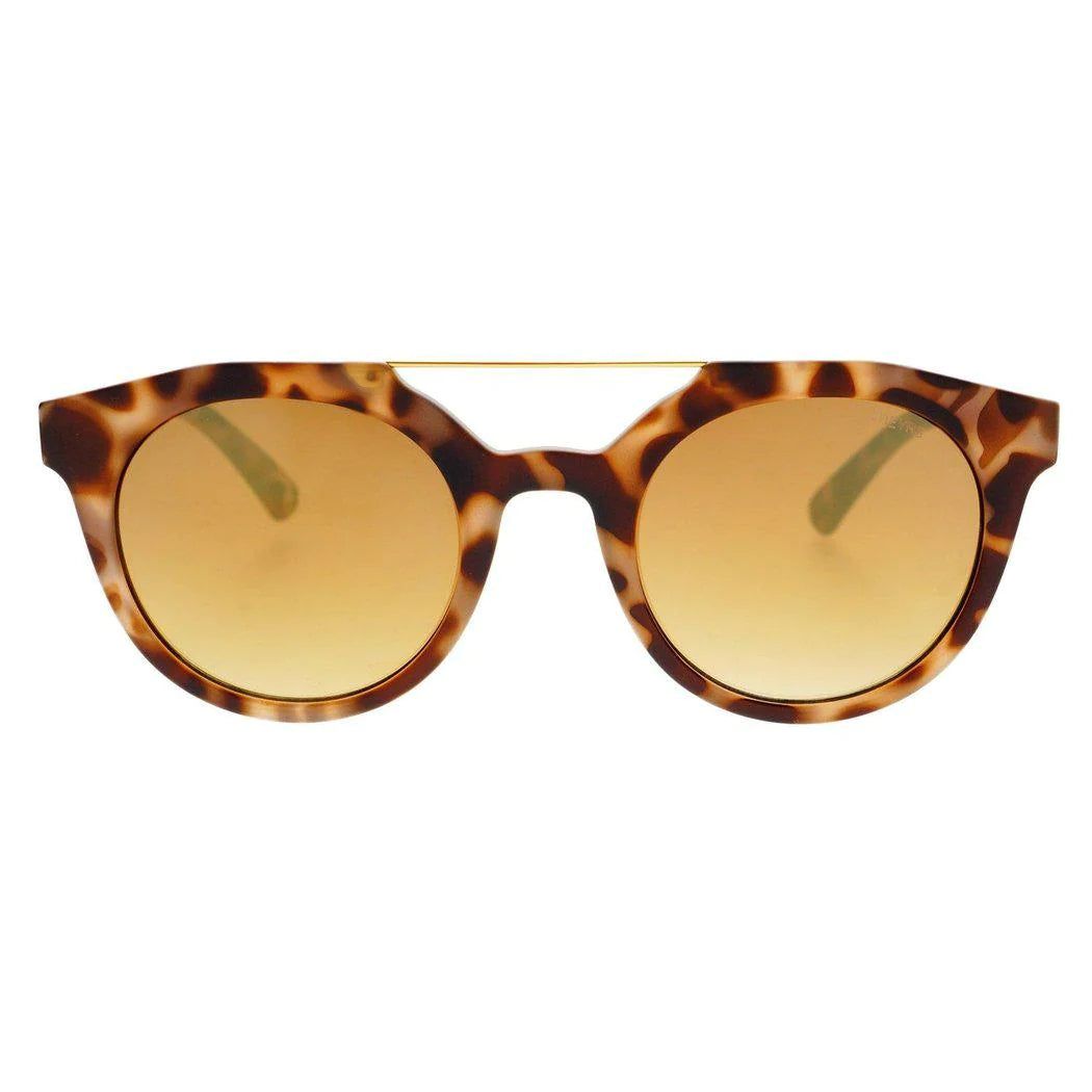 Sunglasses- Collins Tortise/Gold (58-3)