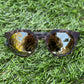 Sunglasses- Collins Tortise/Gold (58-3)